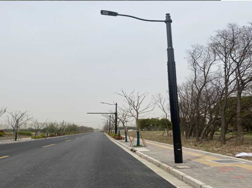 鱼台县上海综合杆 太阳能路灯工程
